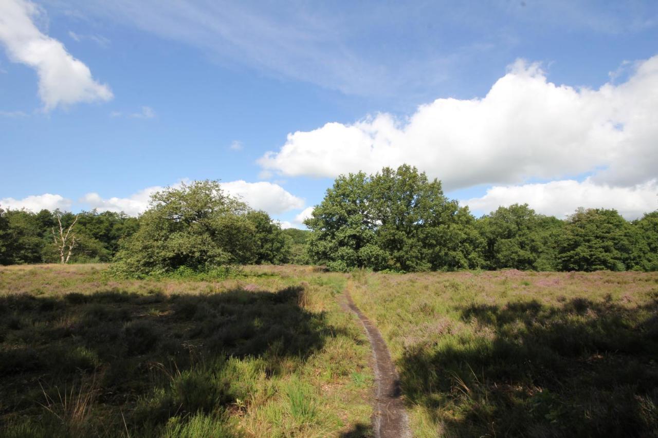 Siblu De Lente Drenthe