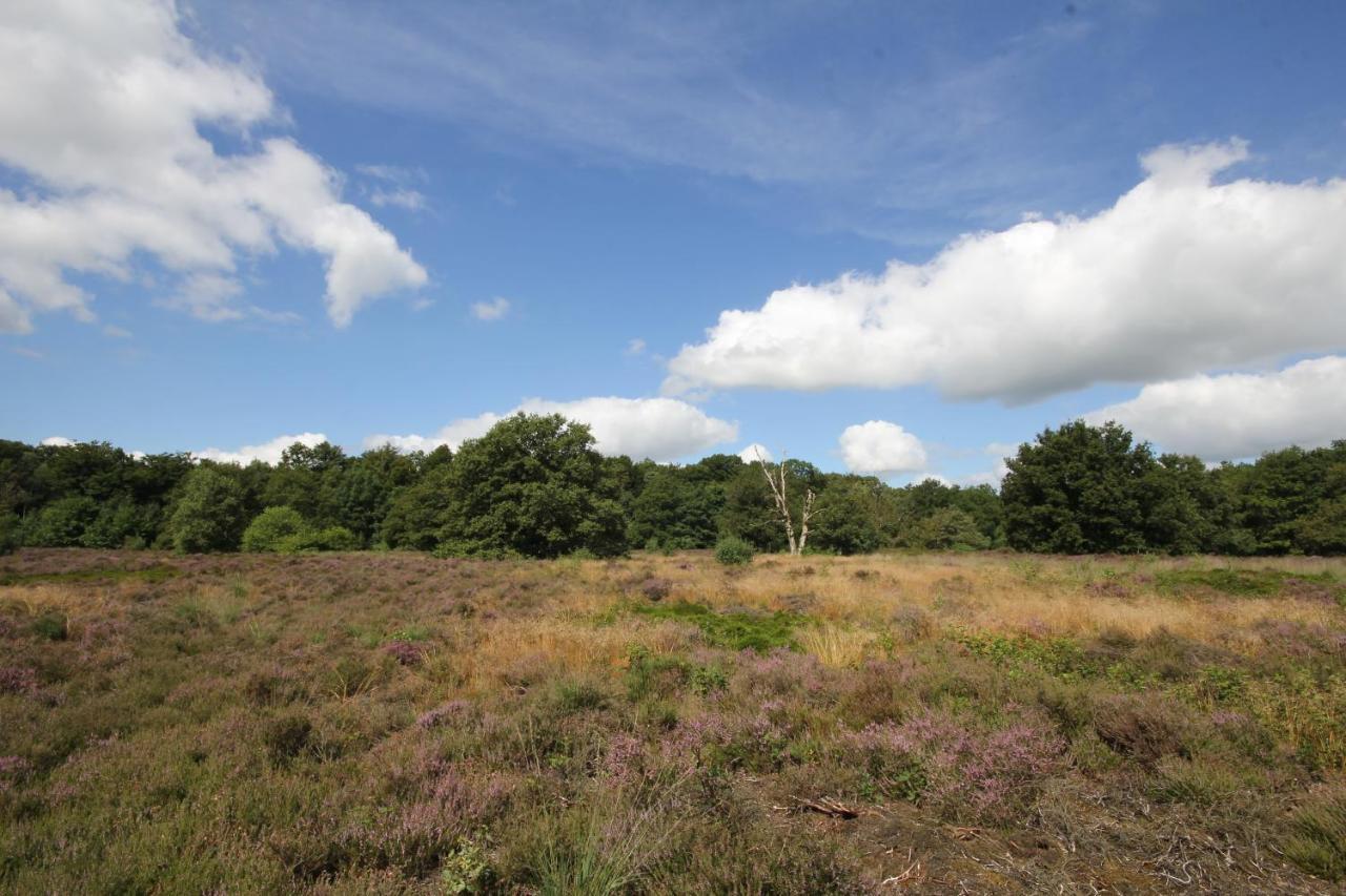 Siblu De Lente Drenthe Ferienpark